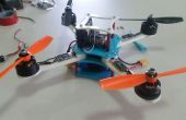 Lernen und bauen eine Race Spec Drohne