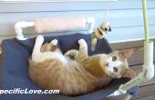 PVC-Katze Hängematte mit Spielzeug