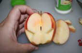 Apfel mit Granatapfel Überraschung Schmetterling