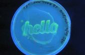 How to Grow "Hello World" mit GFP Bakterien