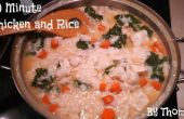 Huhn und Reis Suppe in 30 Minuten