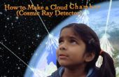 Wie erstelle ich eine Nebelkammer (Cosmic Ray Detector)