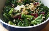 Grünkohl und Quinoa Salat