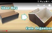 Ändern einer Schuh-Box in ein Cute Organizer