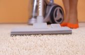 & Tipps und Tricks wie Sie Ihren Teppich zu Hause reinigen