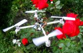 DIY-Smart Follow Me Drohne mit Kamera (Arduino basierend)