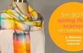 Shibori Spring Fling Schals mit ColorHue Dye