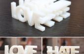 Liebe und Hass 3D gedruckte Wort Blöcke