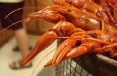 Essen, Invasive Arten: Cajun und schwedischen Stil Rusty Krebse kocht