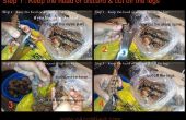 Wie zu reinigen ganze Garnelen / Shrimps - (schneiden, schälen, de-Vene & reinigen)
