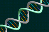Die Wissenschaft der DNA! 