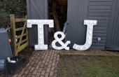 Karneval/Hochzeit beleuchtete Buchstaben