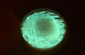 Biolumineszenten Bakterien Glühbirne / Wasser Verschmutzung Tester