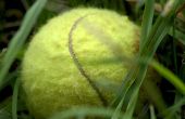 Super Tennis Ball Mörtel