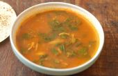 Südindische Stil Hühnchen, Spinat und Tomaten Suppe