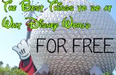 KOSTENLOSE Aktivitäten in Walt Disney World Best
