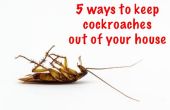 5 Wege zur Kakerlaken zu halten off Ihr Haus