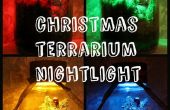 Weihnachten-Terrarium-Nighlight