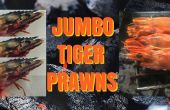 Jumbo-Tiger-Garnelen - auf dem Grill