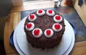 Den perfekten Portal-Kuchen zu machen! 