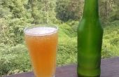 Erfrischende alkoholische Ginger Beer mit Orange