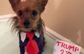 Donald Trump Hund Kostüm