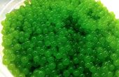 Wie man grünen Kaviar