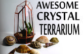 Geometrische Crystal Terrarium aus CD-Hüllen