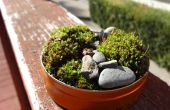 Mini Moosgarten aus Hinterhof Materialien