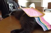 Nyan Cat Kostüm