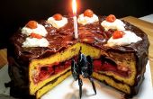 Portal: die Torte ist eine Torte! 