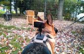 Rücken des Hundes montiert Ledergeschirr Kamera