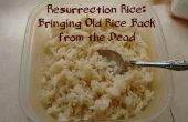 Auferstehung Reis: Bringt alte Reis zurück von den Toten