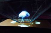 DIY Holograph Projektor