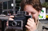 Polaroid Land Kamera wiederbeleben