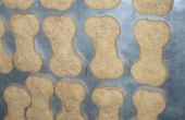 Wie man gesunde und leckere Erdnussbutter Cookies für Hunde