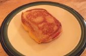 Wie erstelle ich eine gegrillte Käse und Tomaten-Sandwich