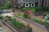Urban Farming: Aufgewachsen Bett Gartenarbeit