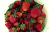 Glutenfrei laktosefrei No-Bake Erdbeer Törtchen