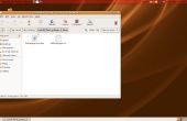 Wie man Flash-Installation auf Ubuntu Linux leicht gemacht! 