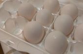 Wie erstelle ich das perfekte hart gekochtes Ei