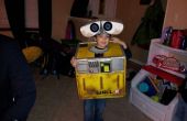 12 Stunden-Wall-E-Kostüm