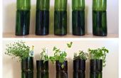 Upcycled Wein Flaschen in Indoor Kraut Pflanzer