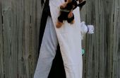 Halloween-Kostüm: Der amtierende & Hunde Katzen