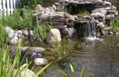 Teich oder Wasser-Garten - wie Hinterhof-Teich bauen