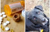 Hund-Pille Beutel