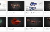 Modellieren der Tiere und Insekten in Ihrem Browser