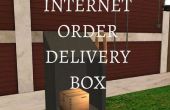 Internet-Bestellung-Lieferung-Box