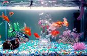 Kristallklares Wasser || Aquarium Power Filter Mod