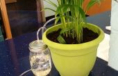 Indoor automatische Bewässerungssystem Pflanzen